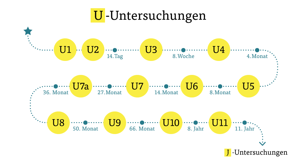 U-Untersuchungen U-Untersuchungen