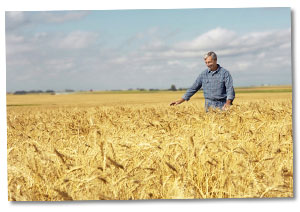 Landwirtschaftsrechtsschutz Rechtsschutz für Landwirte