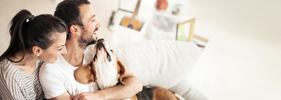 Hundehaftpflichtversicherung Hundehaftpflichtversicherung