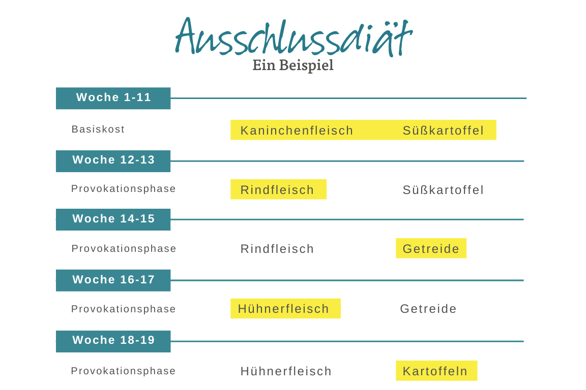 Beispiel für eine Ausschlussdiät bei Hunden Beispiel für eine Ausschlussdiät bei Hunden