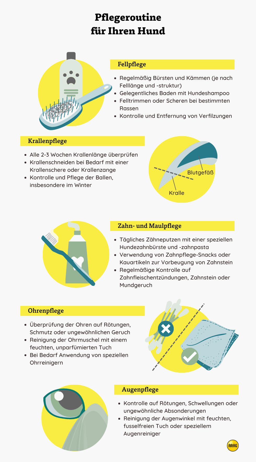 Pflegeroutine für Ihren Hund Pflegeroutine für Ihren Hund